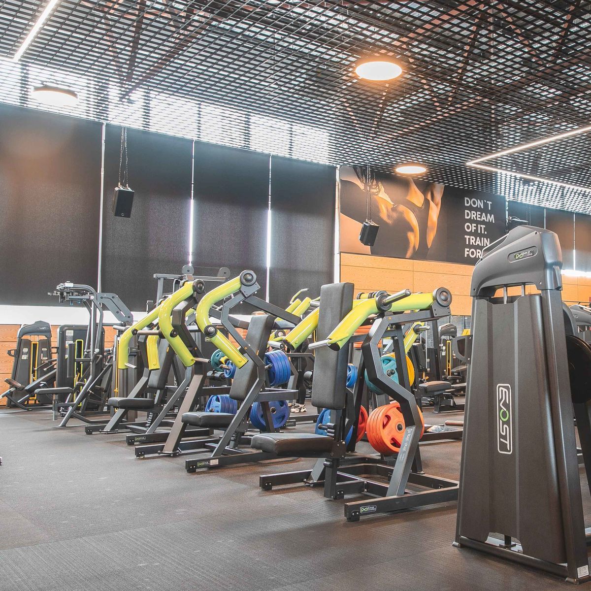 Y970Z Бицепс-машина сидя — изображение 4