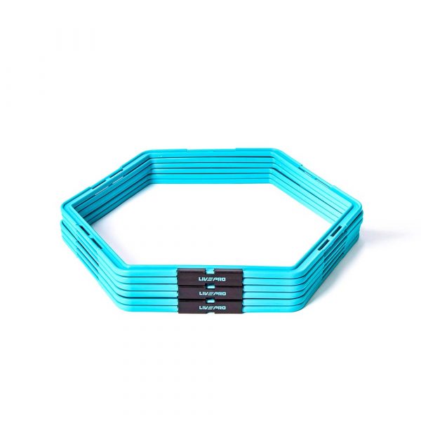 Тренировочная сетка LIVEPRO Agility Grid набор, 6 штук, диаметр 49 см