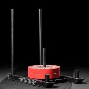 Сани Н-образного типа